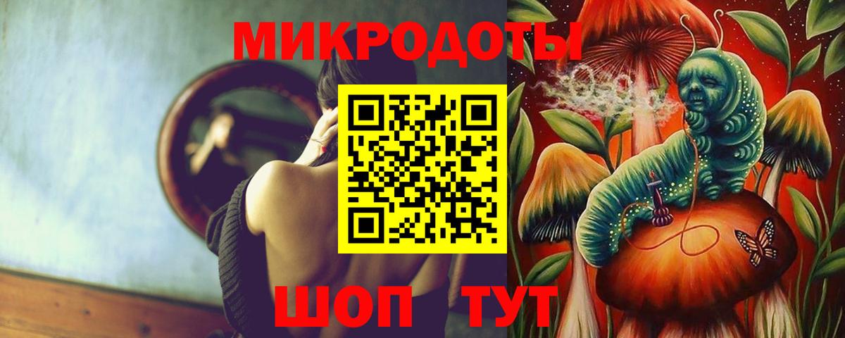 Чехов  Псилоцибиновые грибы Psilocybine cubensis  Вход с VPN 